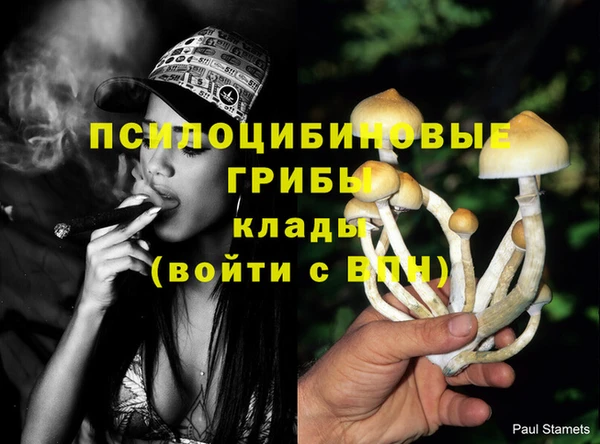 эйфоретик Наволоки