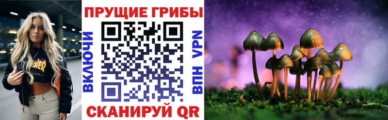 Галлюциногенные грибы Cubensis ОМГ ОМГ сайт Миллерово