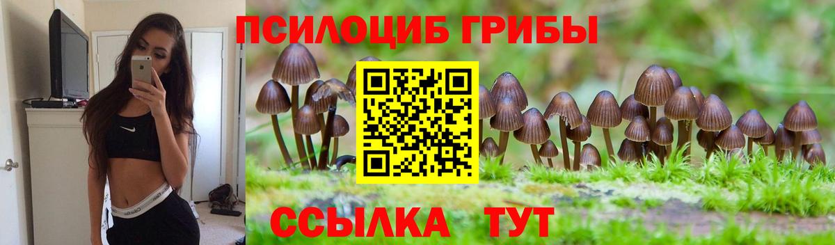 Галлюциногенные грибы ЛСД Миллерово